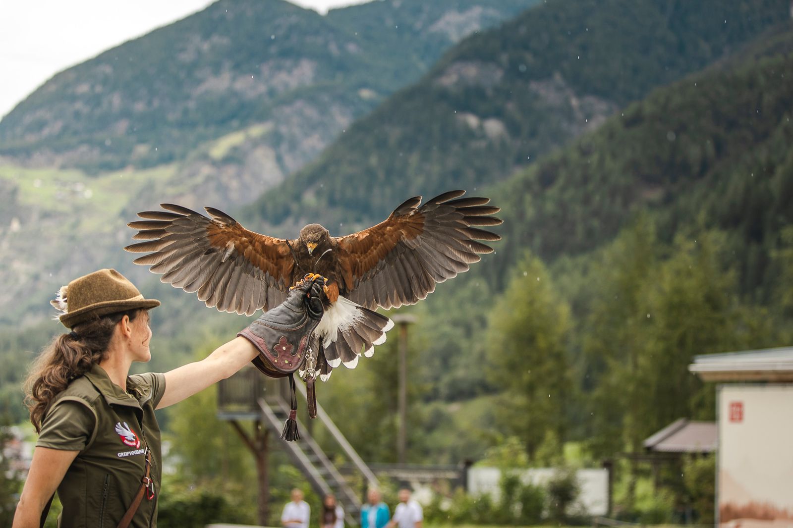 Greifvogelpark Umhausen – Adler, Falken und Eulen aus nächster Nähe